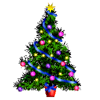 une belle sapin